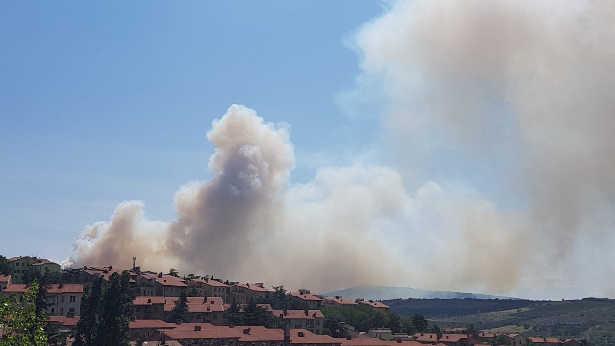 Immagine per Incendio sul Carso, brucia il bosco a San Dorligo della Valle